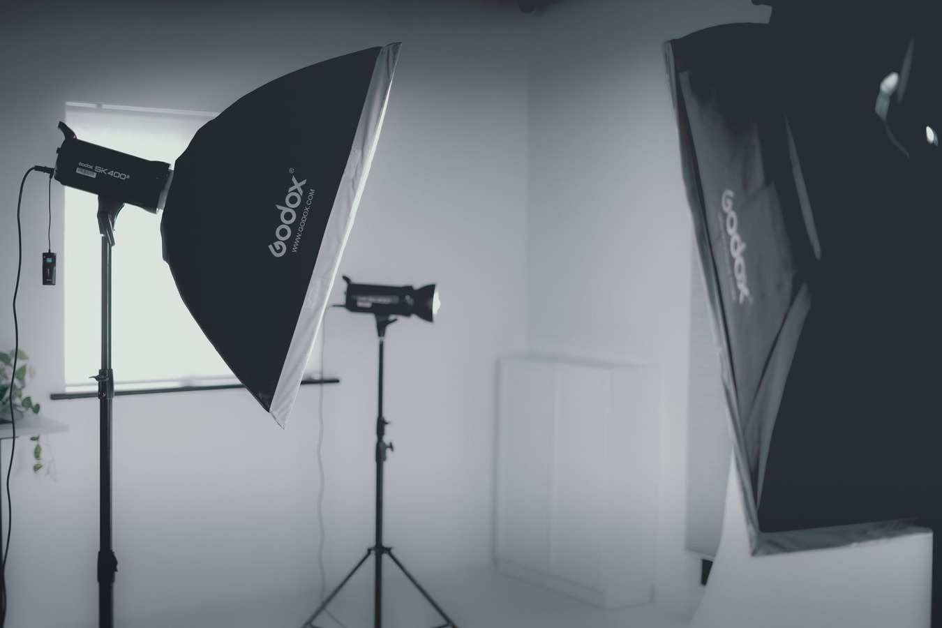 Fashion brand portfolio transformation